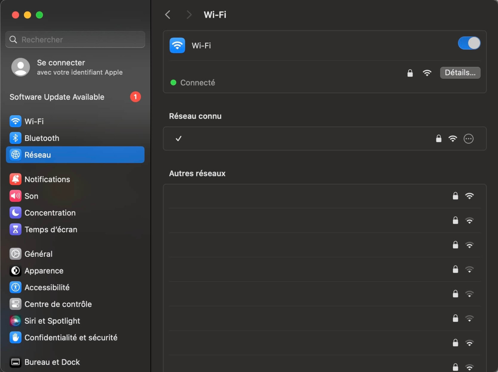 Une capture d'écran de la page Détails du réseau sur MacOS.