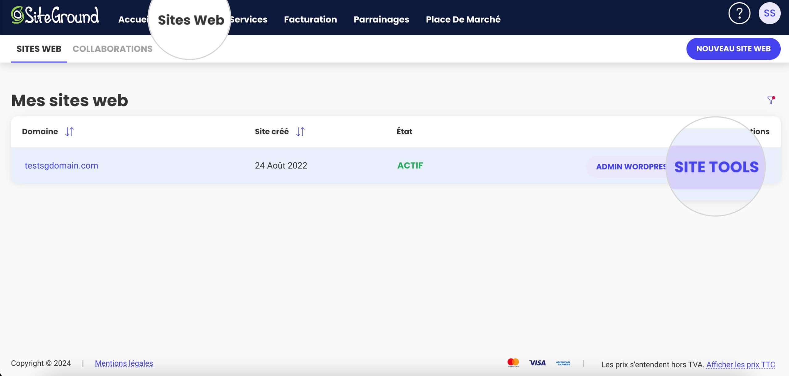 Capture d'écran montrant comment vous connecter aux Site Tools et activer les téléchargements de fichiers SVG