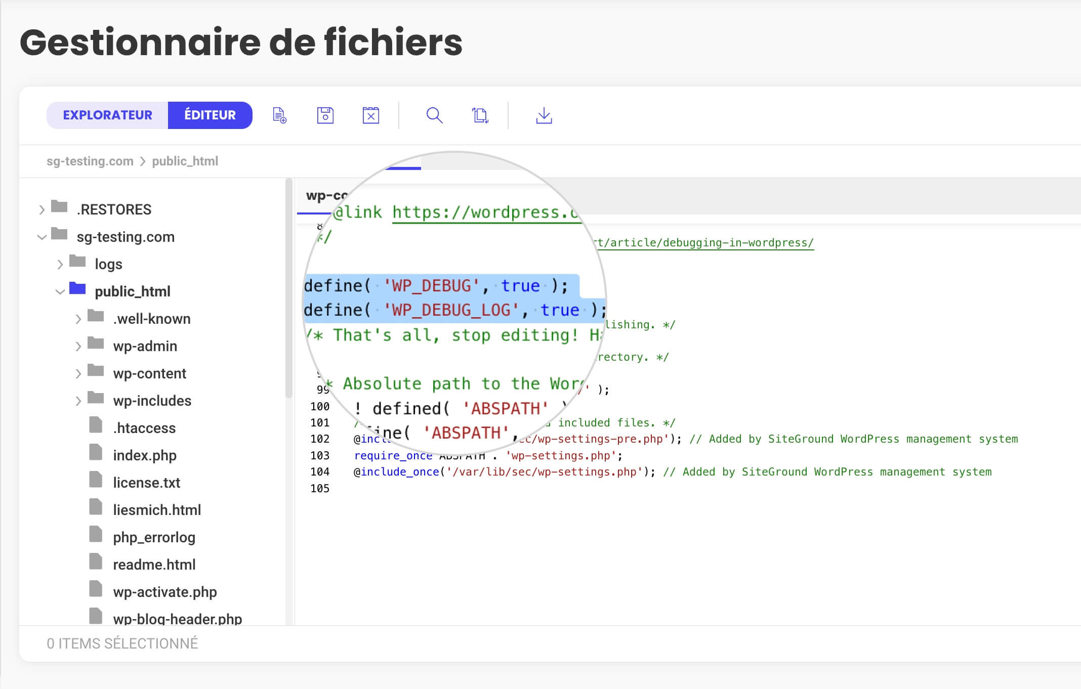 Fichier de configuration de WordPress avec le mode débogage activé et les journaux d’erreurs