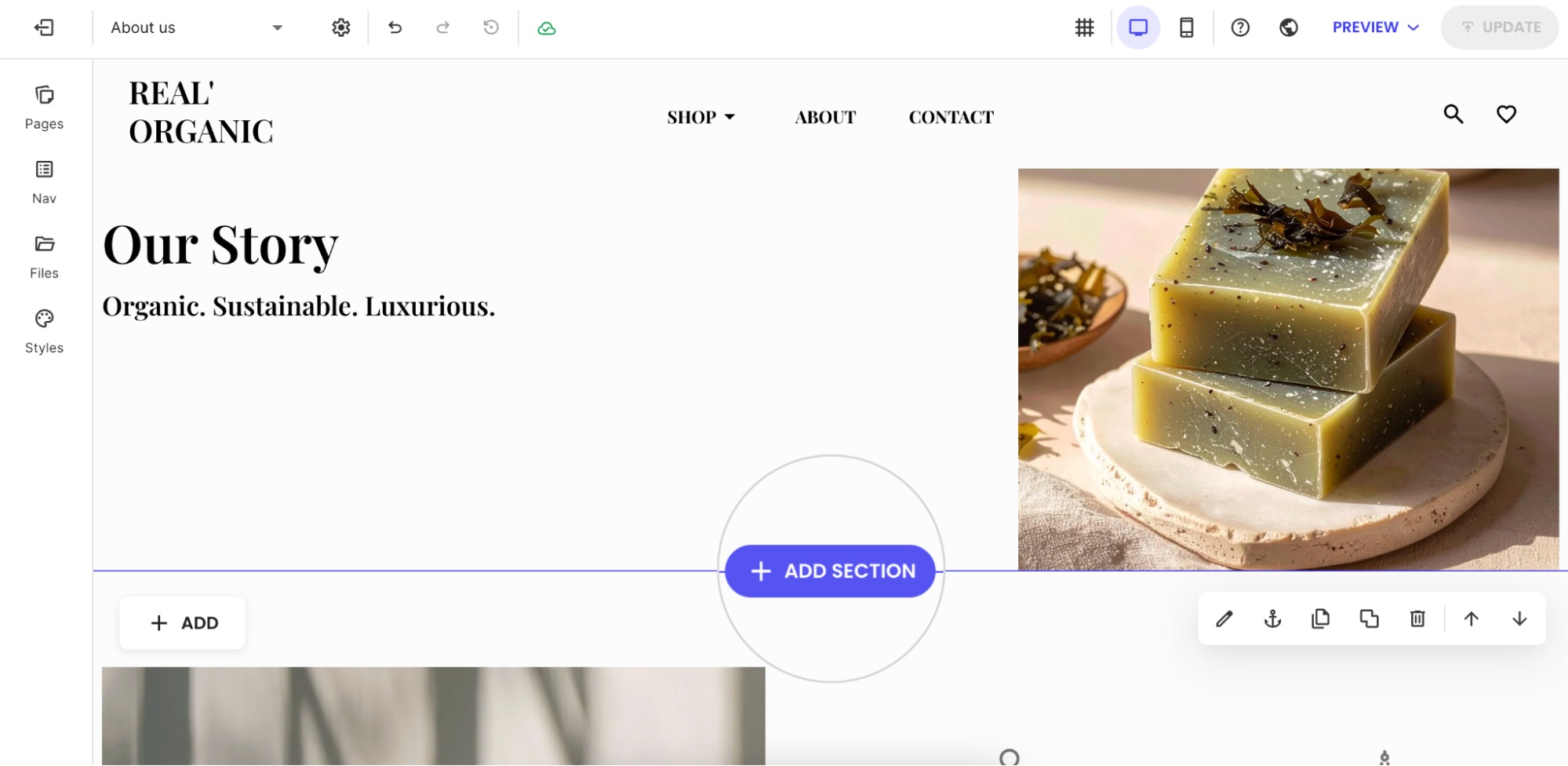 Add Section modal with layout preview and Add Section button highlighted