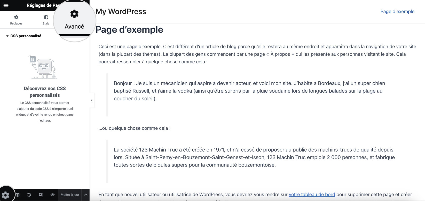 Capture d'écran montrant où saisir un extrait CSS personnalisé dans Elementor