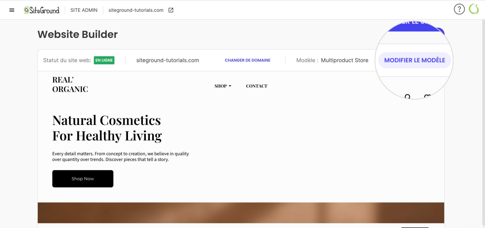 Bouton Modifier le modèle dans Site Admin pour modifier le modèle dans Website Builder 