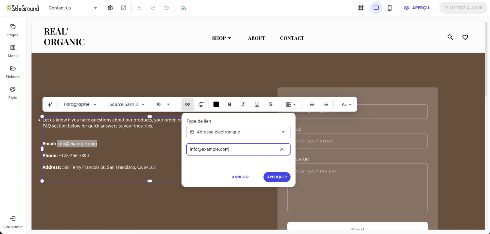 Fenêtre des paramètres du lien affichant l’option Adresse e-mail avec une adresse saisie