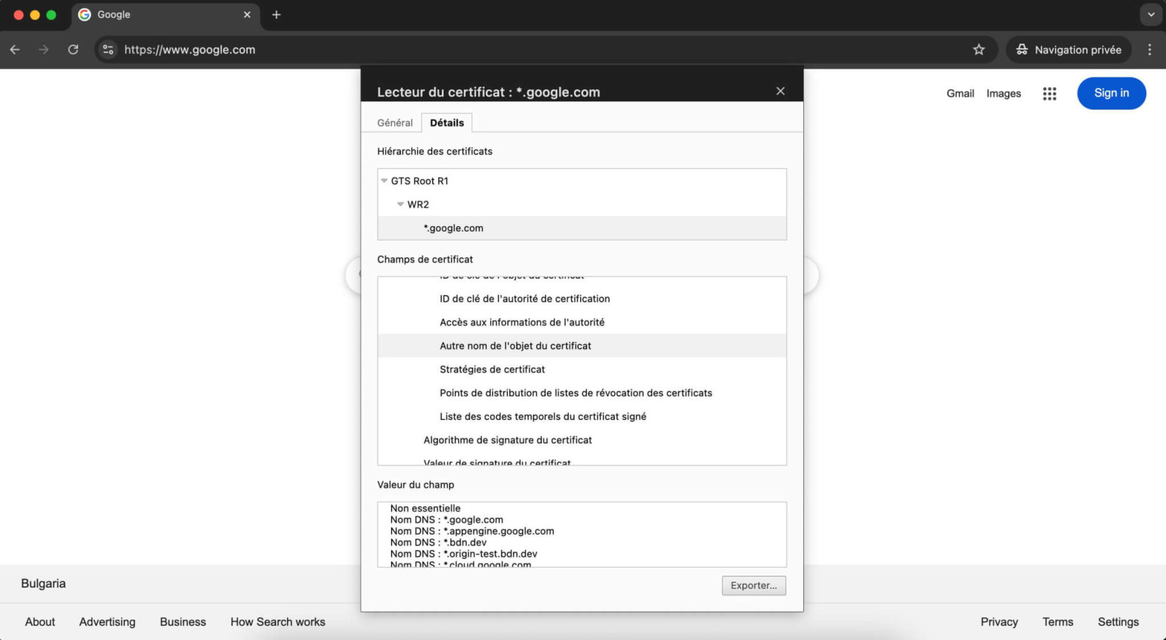Capture d’écran de la fenêtre des détails du certificat SSL dans Google Chrome, avec le champ des noms alternatifs du sujet mis en évidence.
