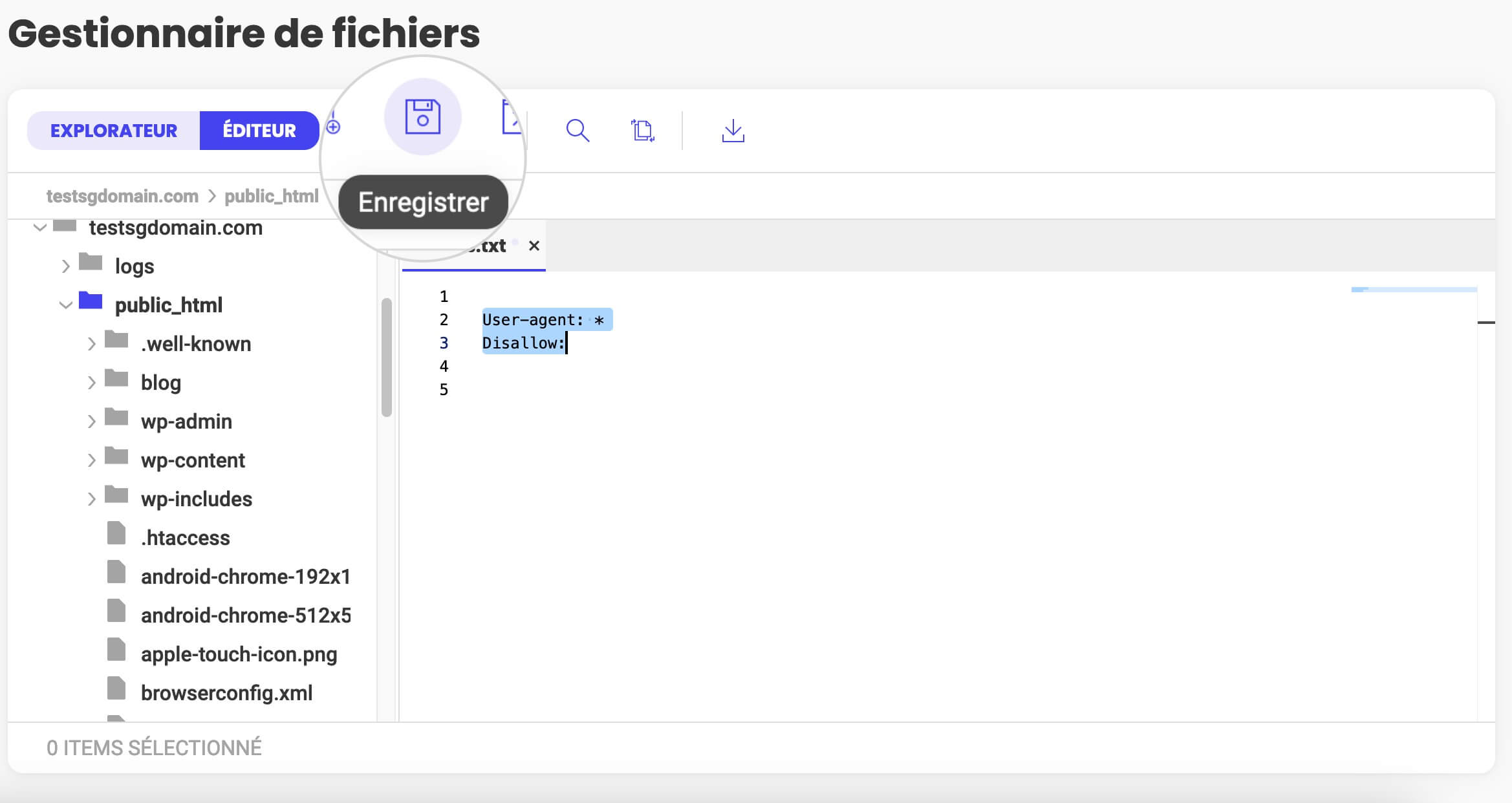 Coller les règles robots.txt mises à jour dans l'éditeur de fichiers et les enregistrer.