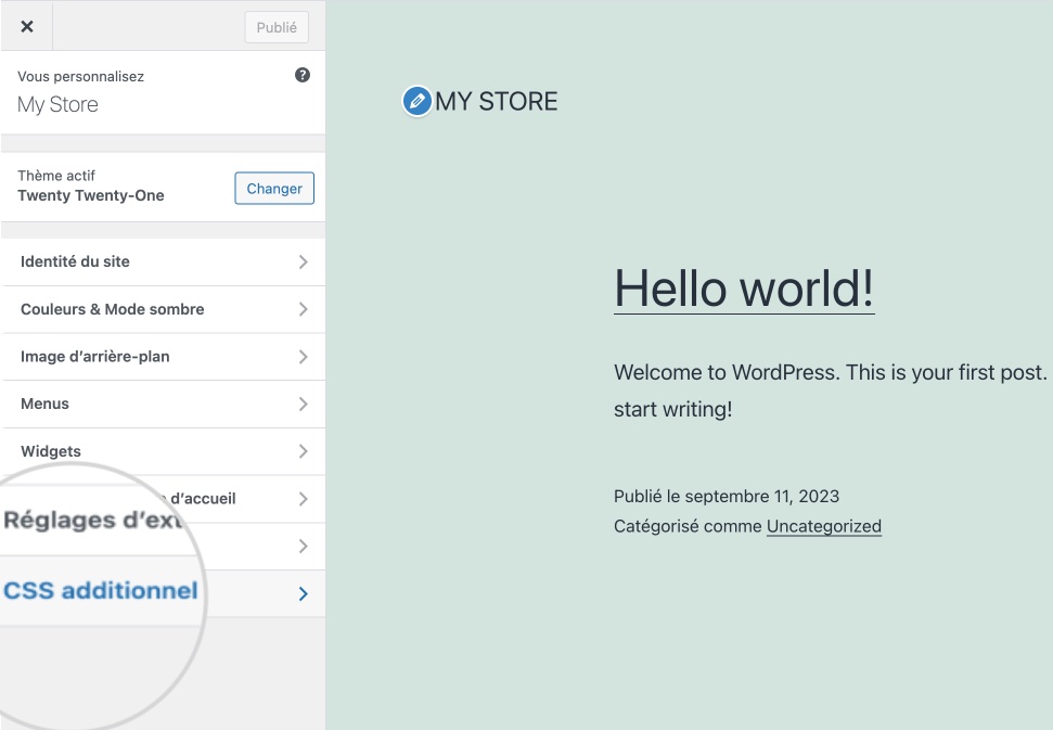 Section CSS supplémentaire dans le personnalisateur de thème sur WordPress