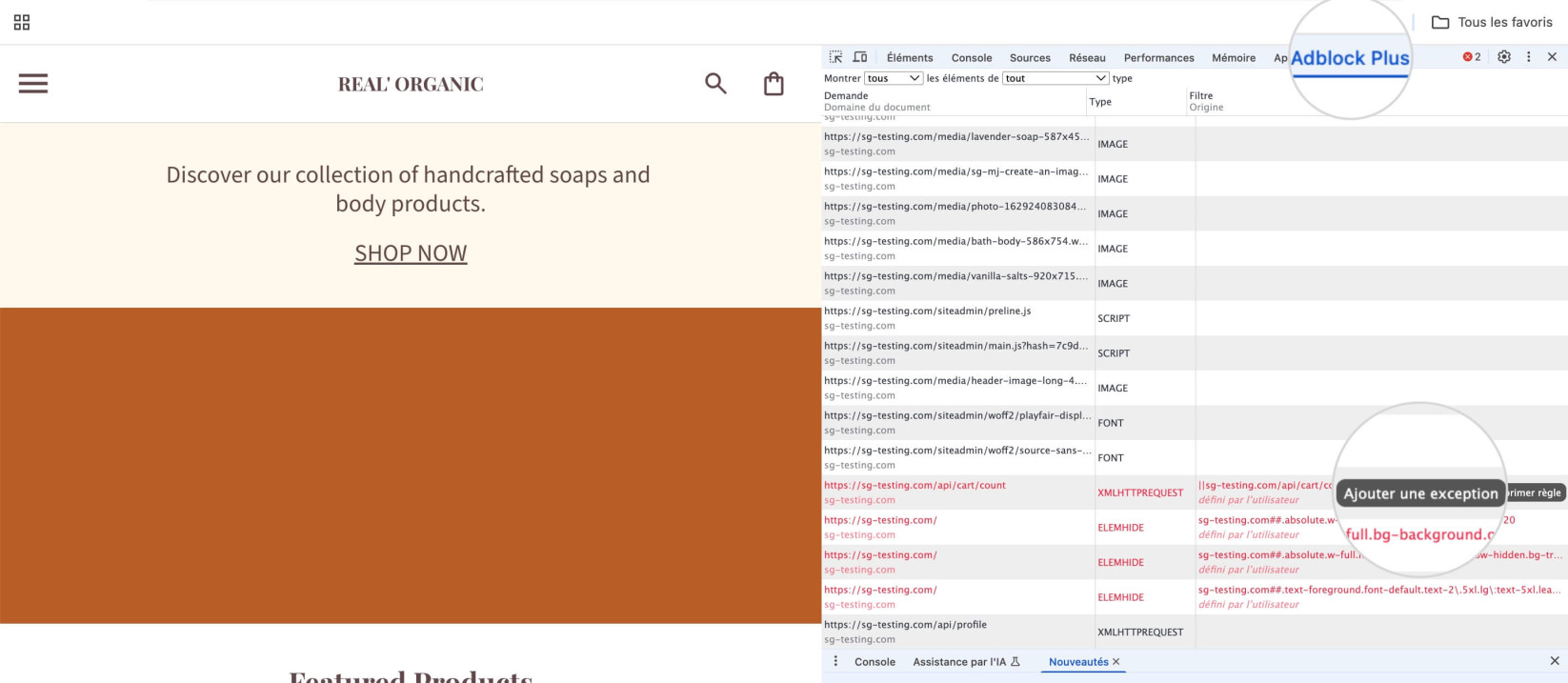L'écran de débogage d'Adblock dans les Outils de développement de Chrome 