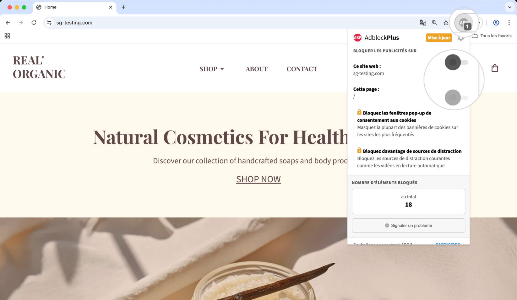Onglet Adblock Plus dans Google Chrome affichant les options pour désactiver AdBlocker pour un site web