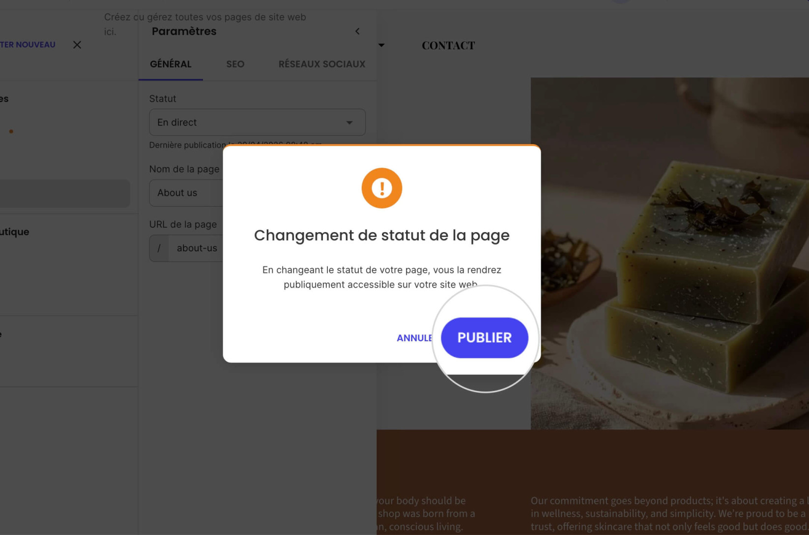 Écran de confirmation pour la publication d'une page dans le Website Builder