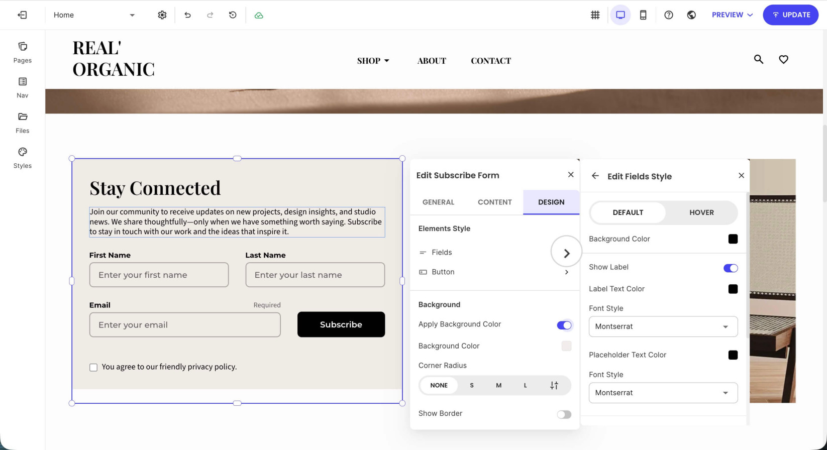 A subscription form on a page in Website Builder displaying the Design settings options