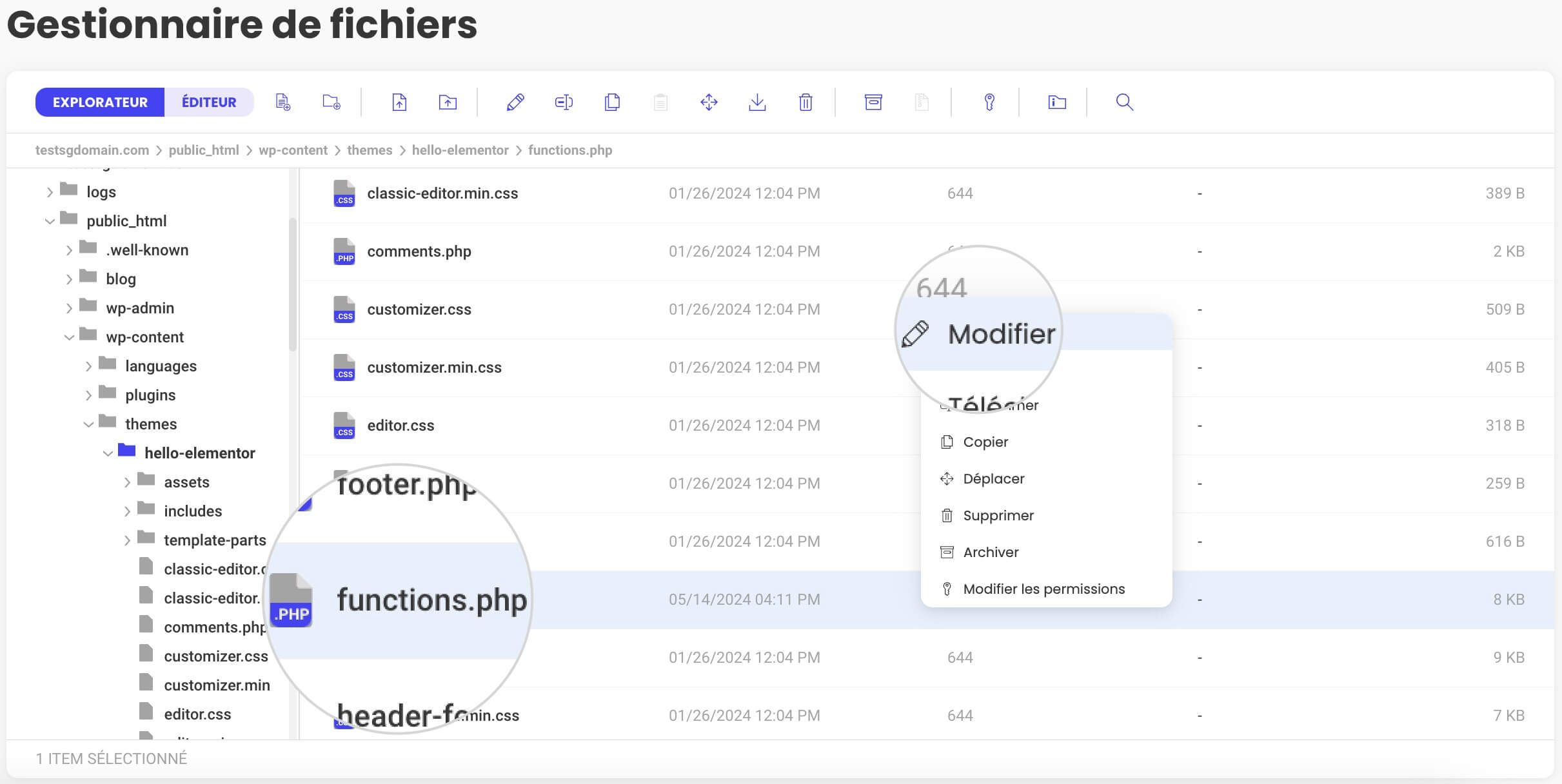 Capture d'écran montrant comment modifier le fichier functions.php