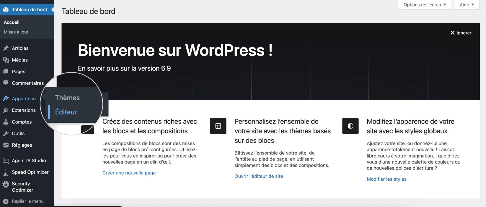Tableau de bord WordPress avec le menu Apparence ouvert et l’option Éditeur mise en évidence pour modifier le design du site.