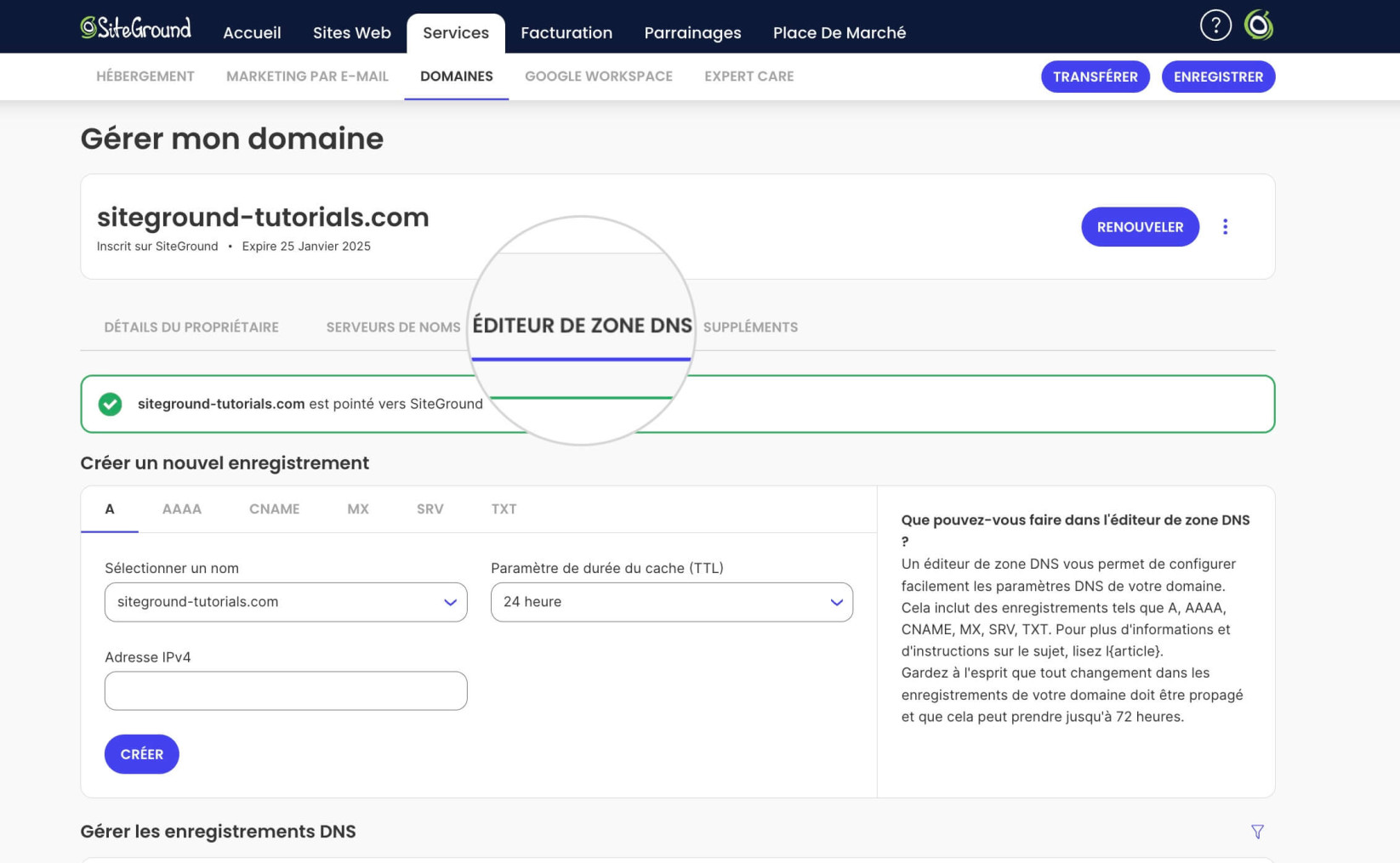 Éditeur de zone DNS dans les paramètres du domaine