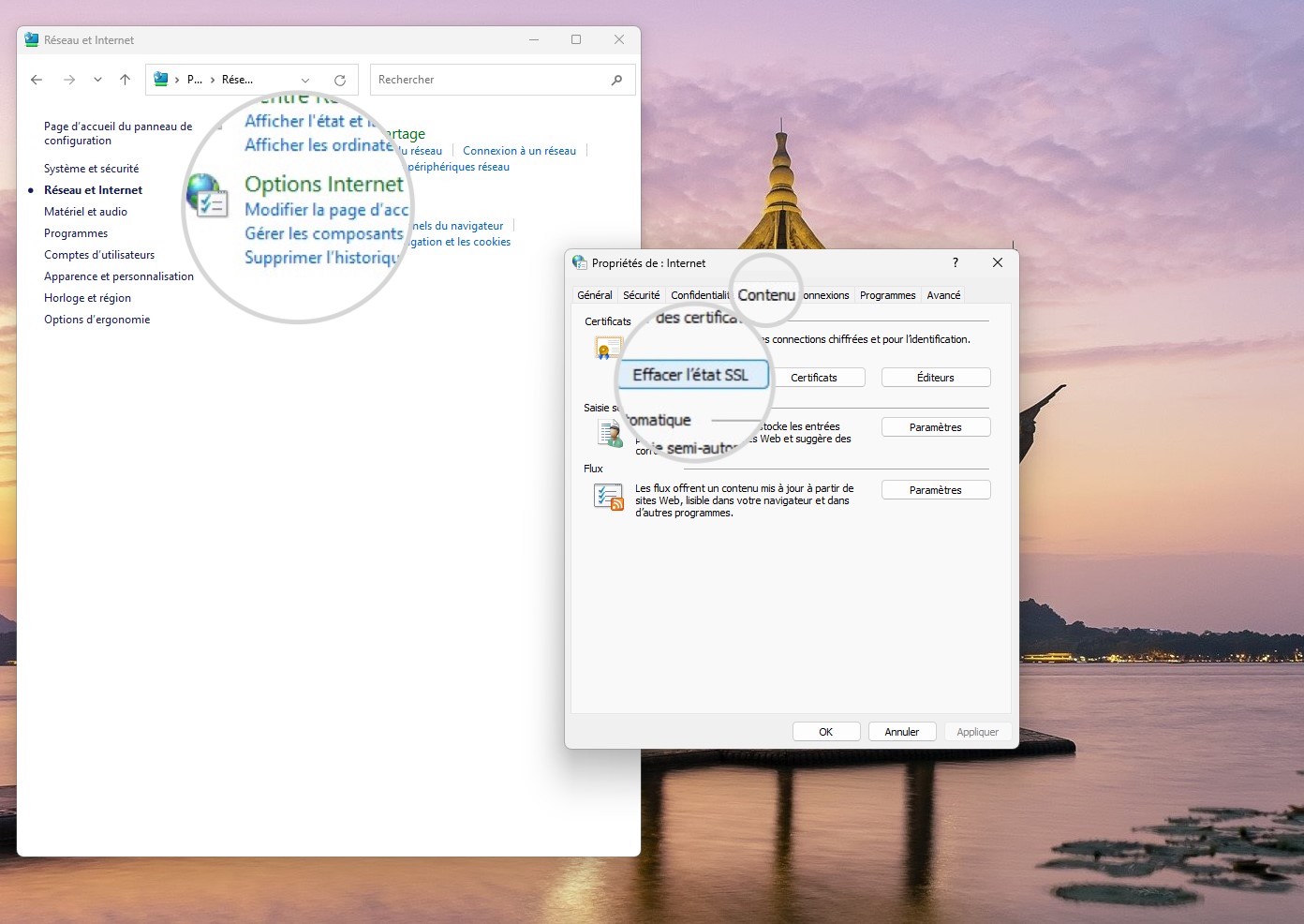 Effacer l'état SSL sous Windows