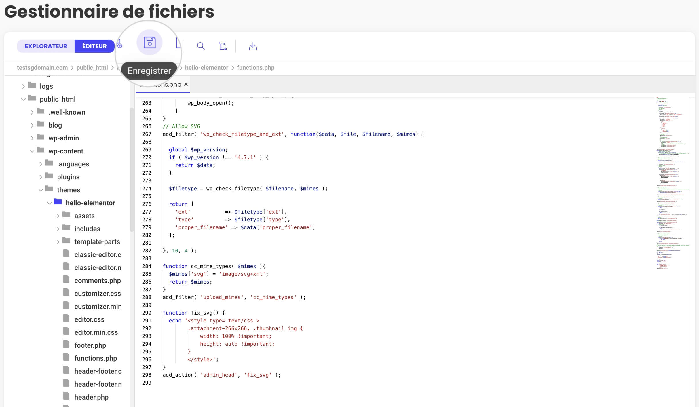 Capture d'écran montrant l'extrait de code collé permettant le téléchargement de fichiers SVG et comment enregistrer les modifications.