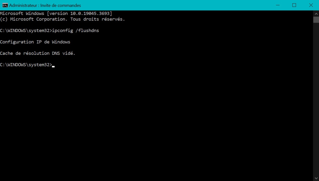 Capture d'écran montrant le résultat de la commande de vidage du cache DNS dans Windows Cmd