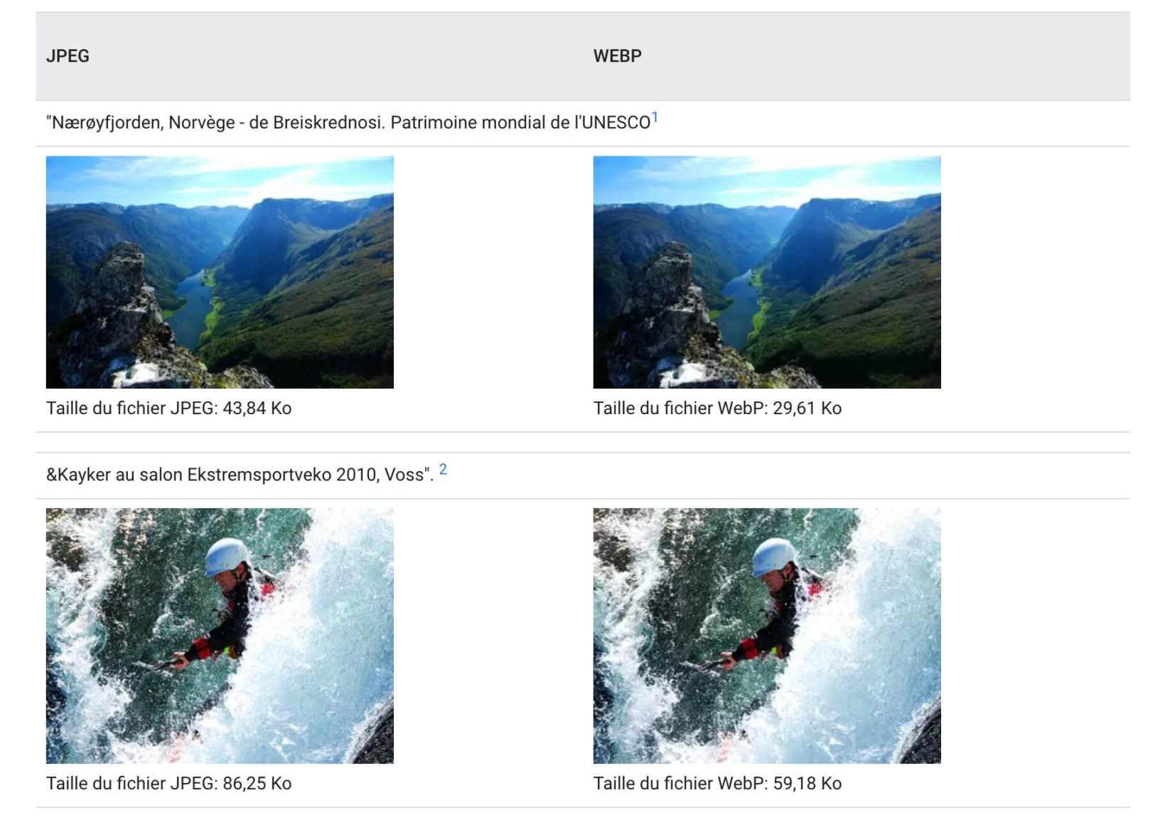 Comparaison entre les images WebP et JPEG en termes de qualité et de taille de fichier