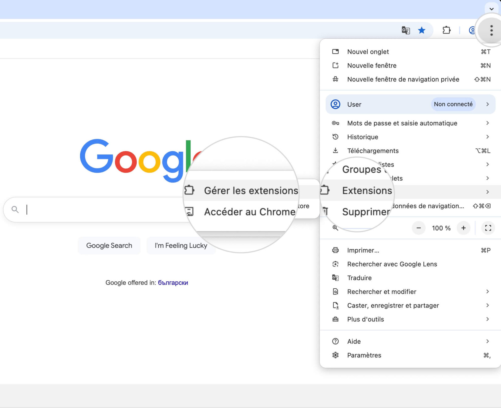 Menu Gérer les extensions dans Google Chrome