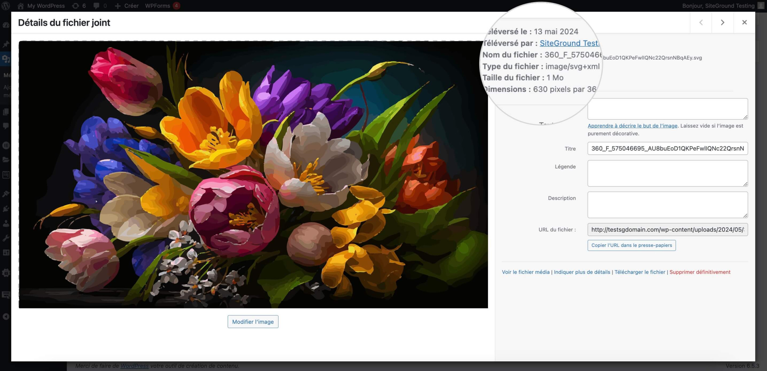 Capture d'écran affichant un fichier SVG téléchargé dans la médiathèque WordPress après activation d'un plugin SVG
