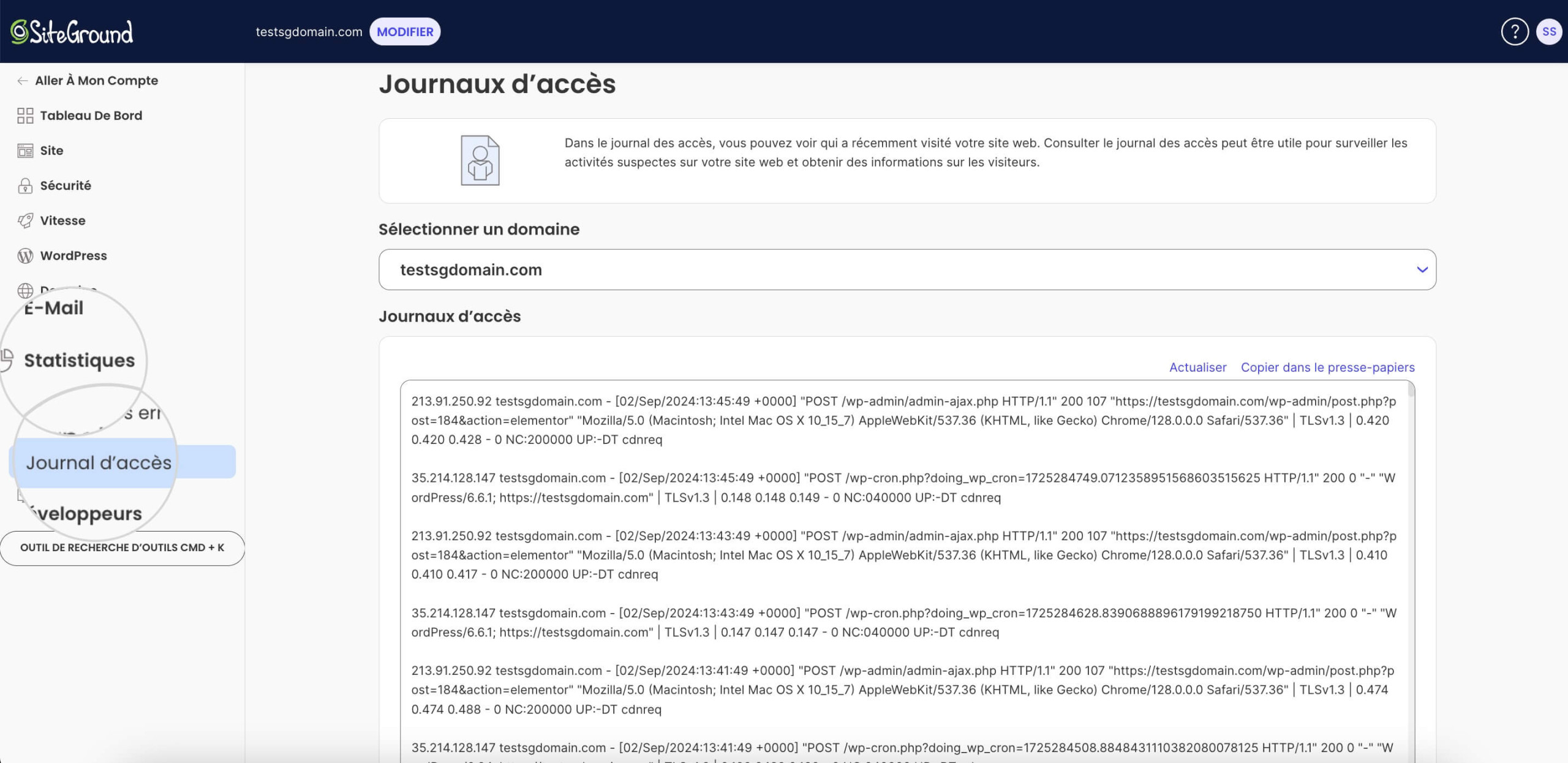 Capture d'écran des journaux d'accès que vous pouvez trouver dans la section Outils du site > Statistiques