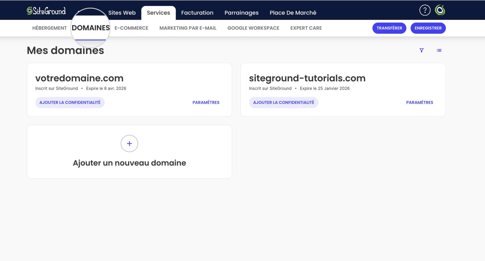 Section Services dans l'Espace Client de SiteGround affichant tous les domaines utilisés dans vos comptes 