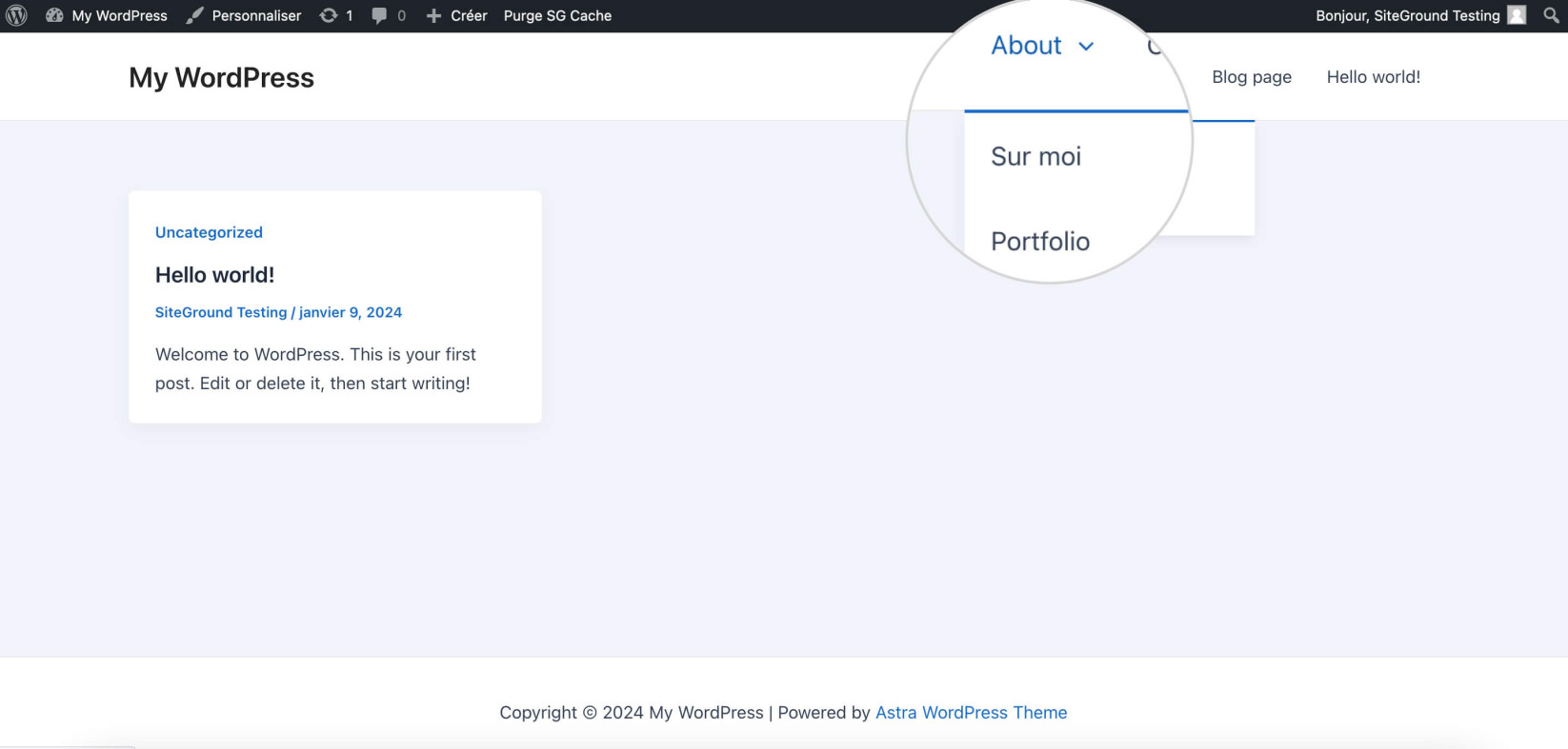 Capture d'écran montrant un exemple de menu déroulant WordPress dans le frontend