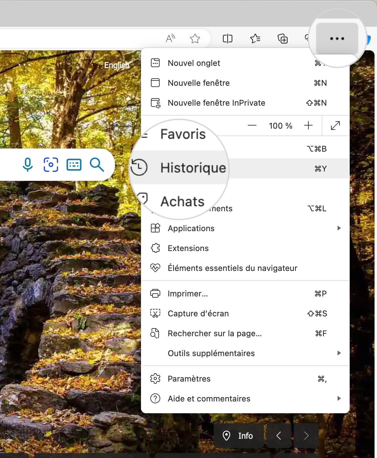 Menu Historique dans Microsoft Edge 