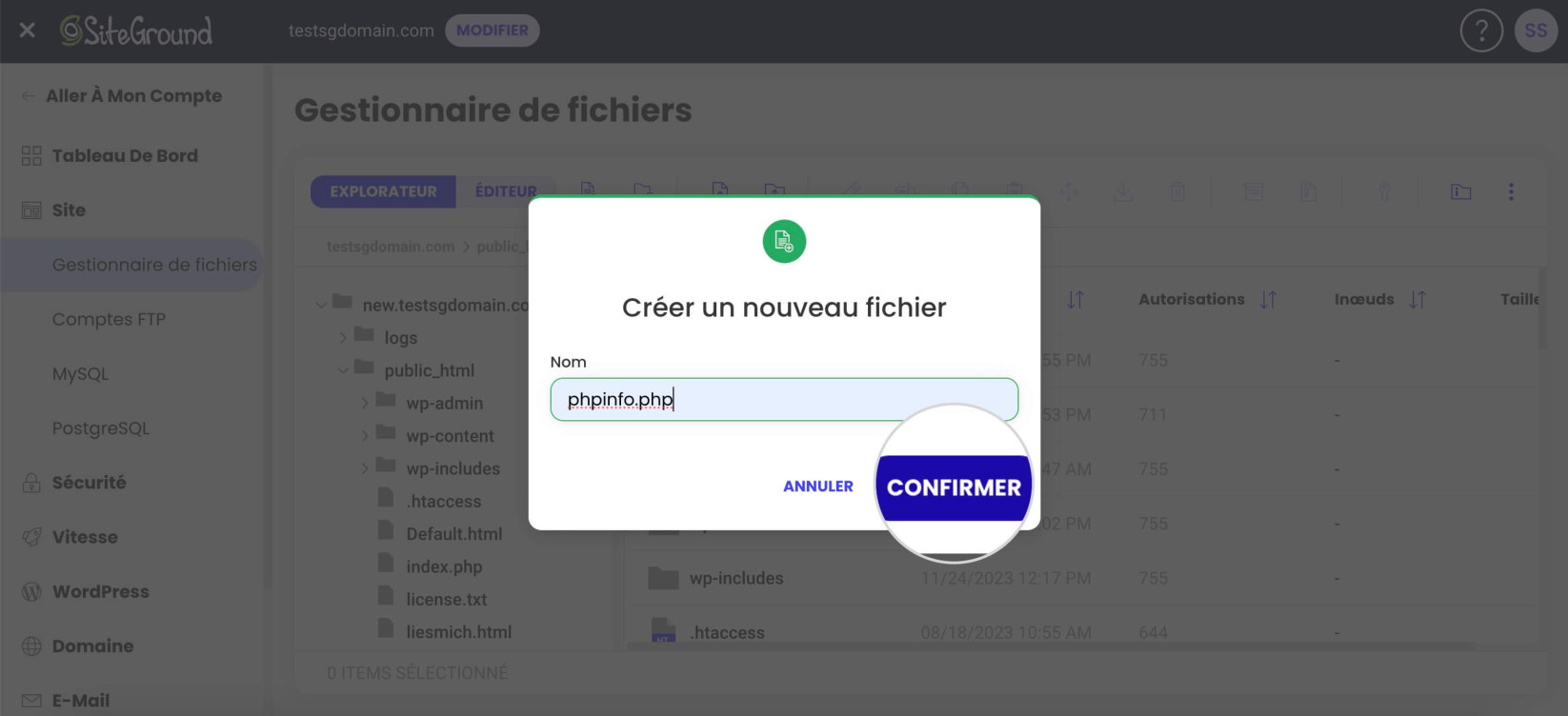 Capture d'écran de la fenêtre contextuelle du gestionnaire de fichiers pour nommer et confirmer la création d'un fichier phpinfo