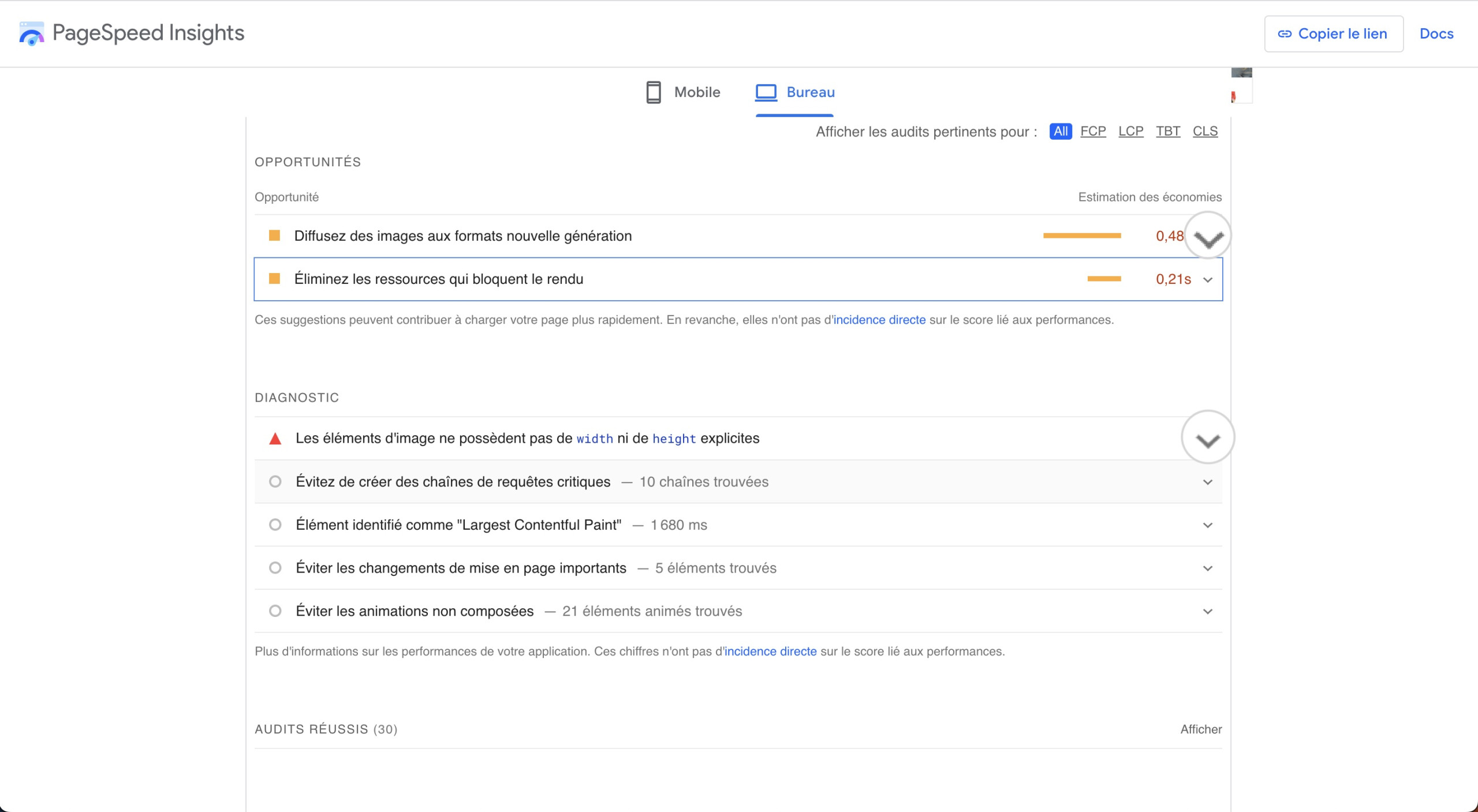 Sections Opportunités et Diagnostic dans Google PageSpeed Insights