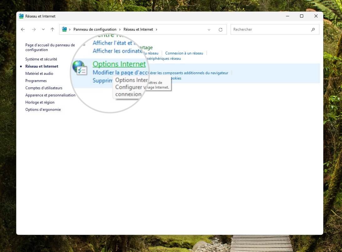 Options Internet sous Windows
