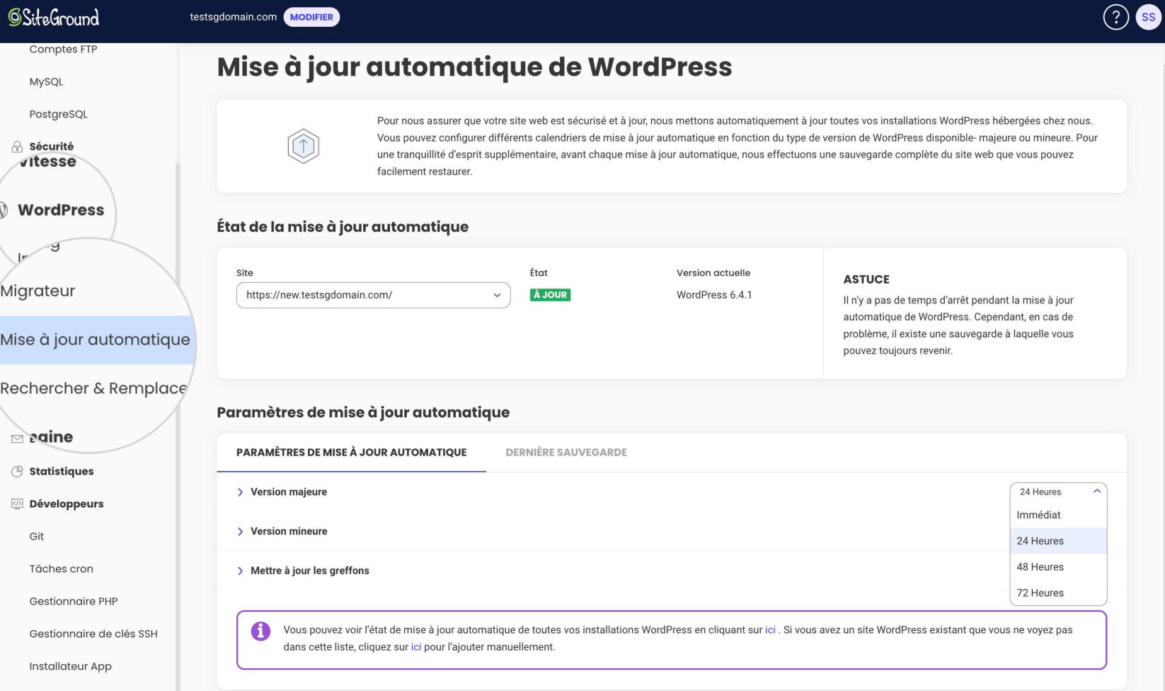 Capture d'écran montrant comment mettre à jour WordPress à partir de l'outil AutoUpdate dans Site Tools