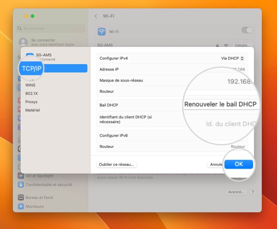 Bouton « Renouveler le bail DHCP » dans les paramètres TCP/IP sur Mac