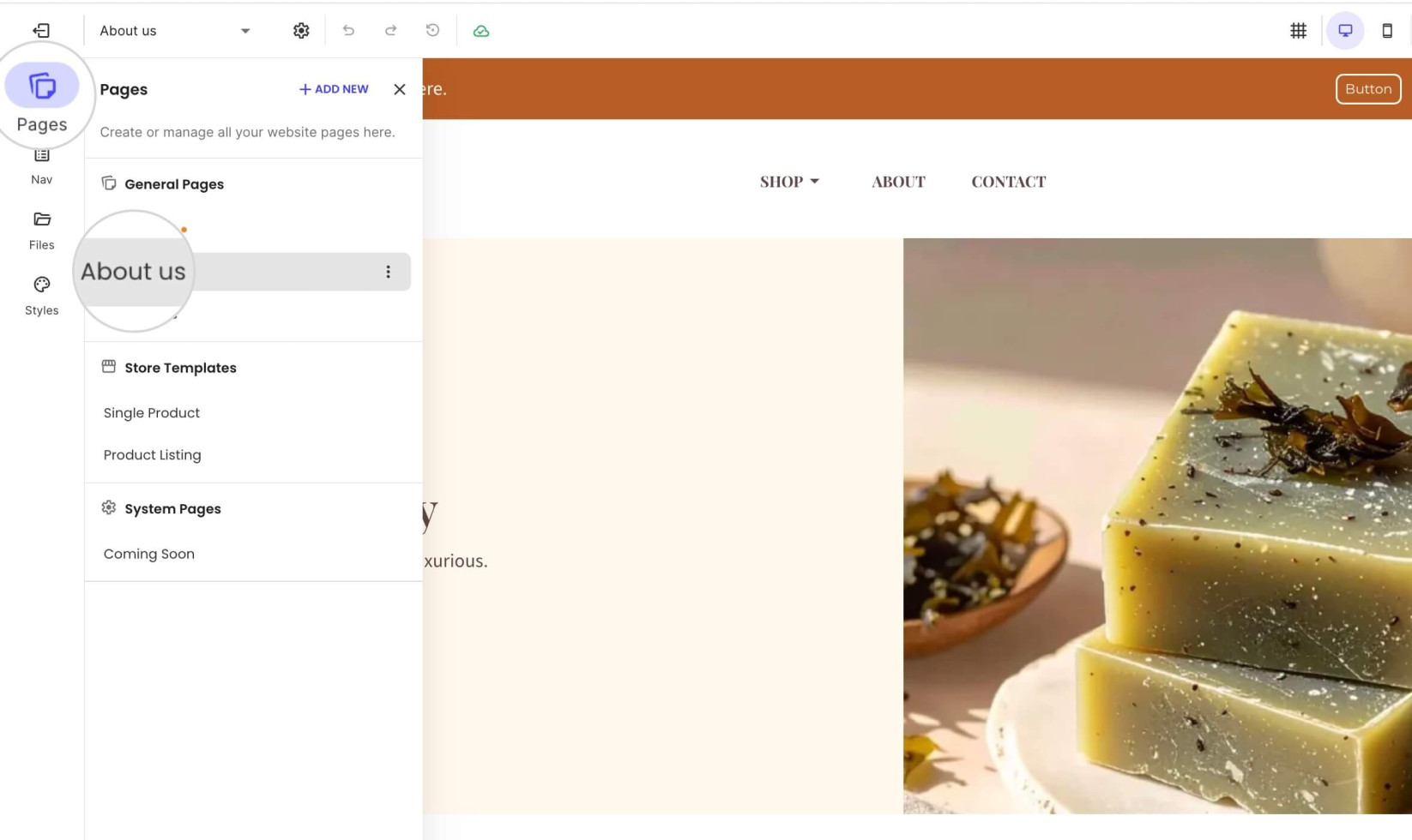 Pages tab in Website Builder with a selected page 