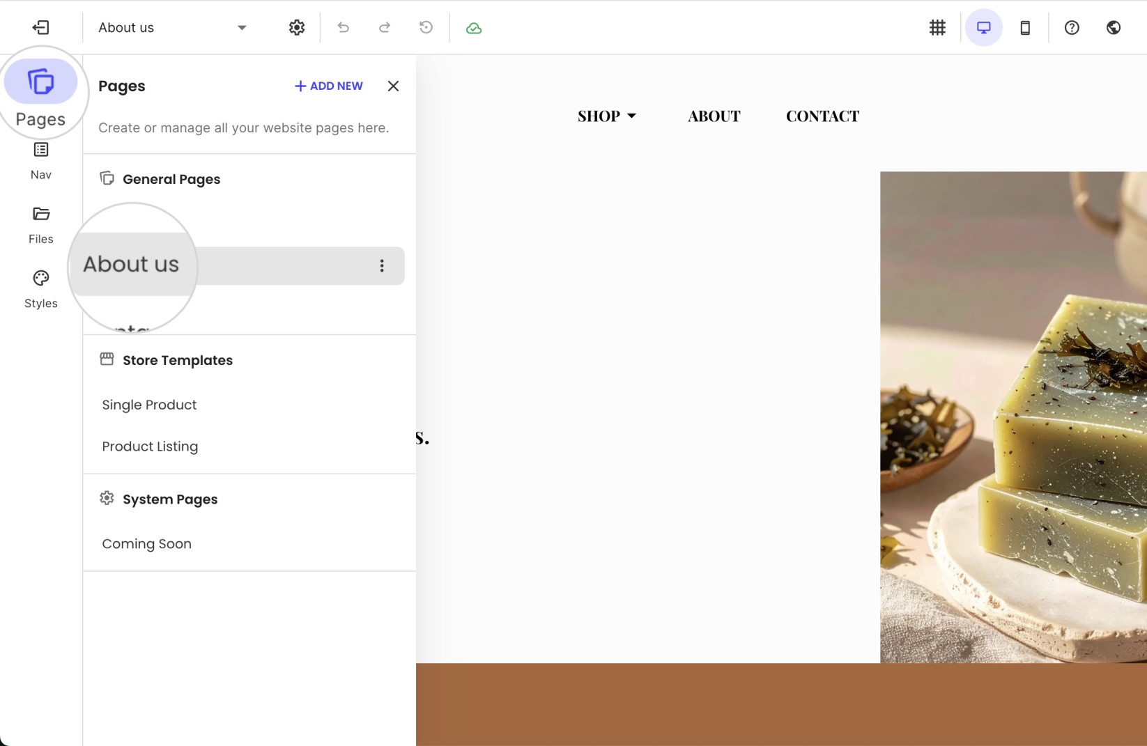 A live page on focus from the Pages tab of the Website Builder editor