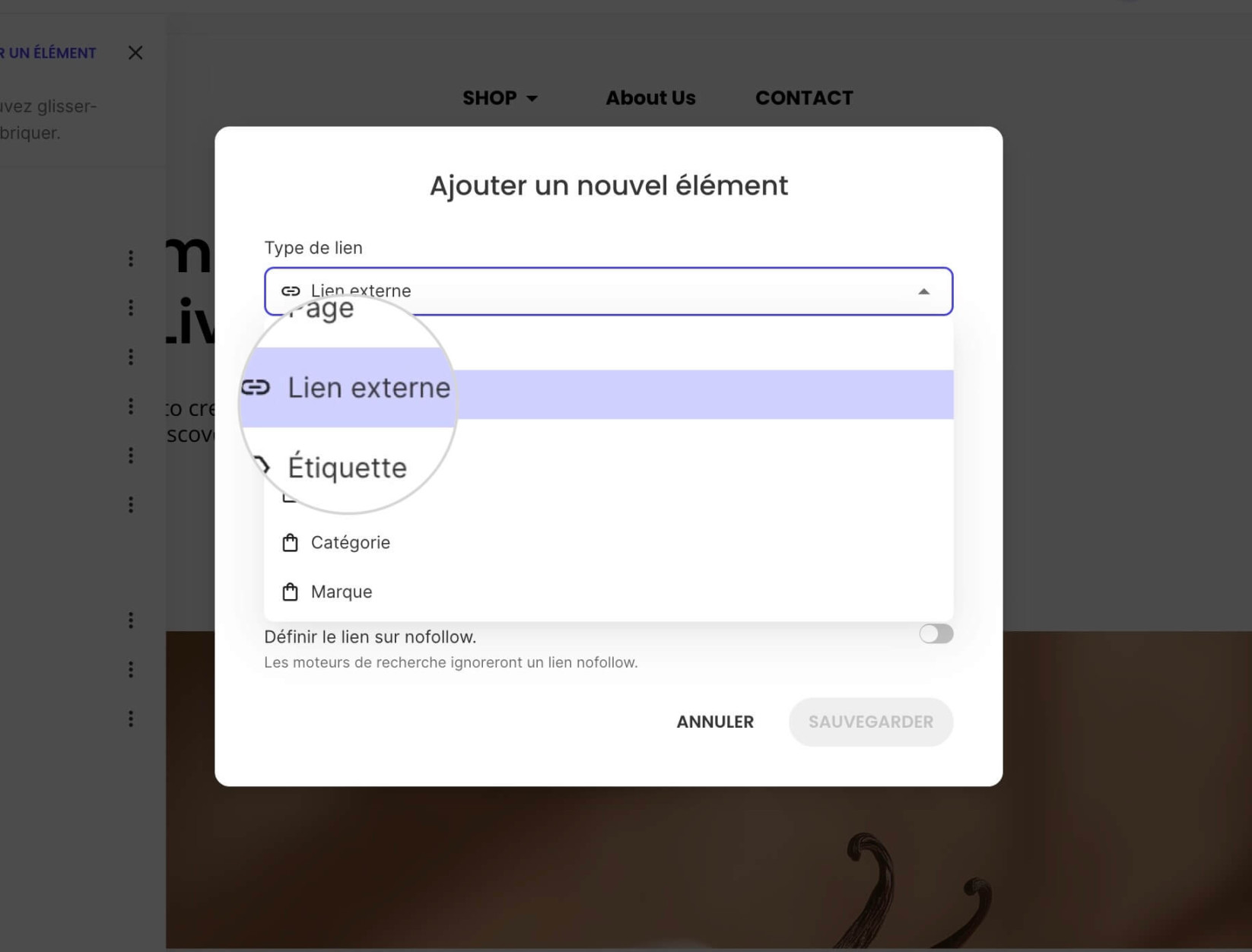 Une fenêtre contextuelle pour ajouter des éléments de menu où Lien externe est sélectionné comme Type de lien