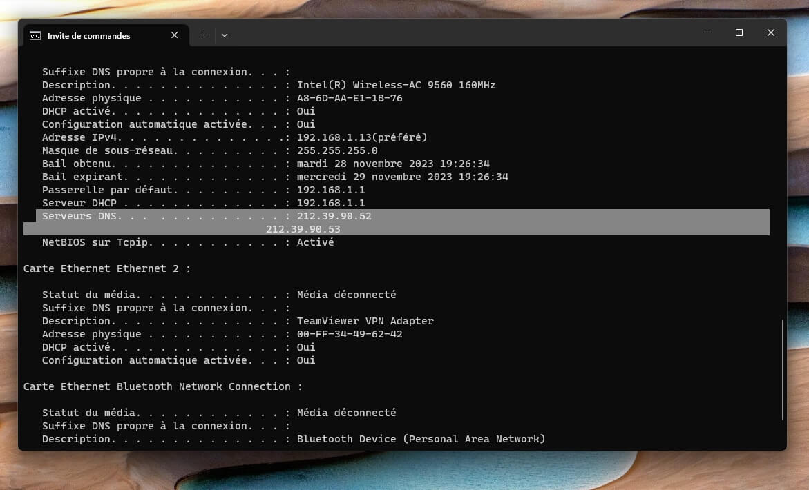 Trouvez votre serveur DNS dans l’invite de commandes sous Windows