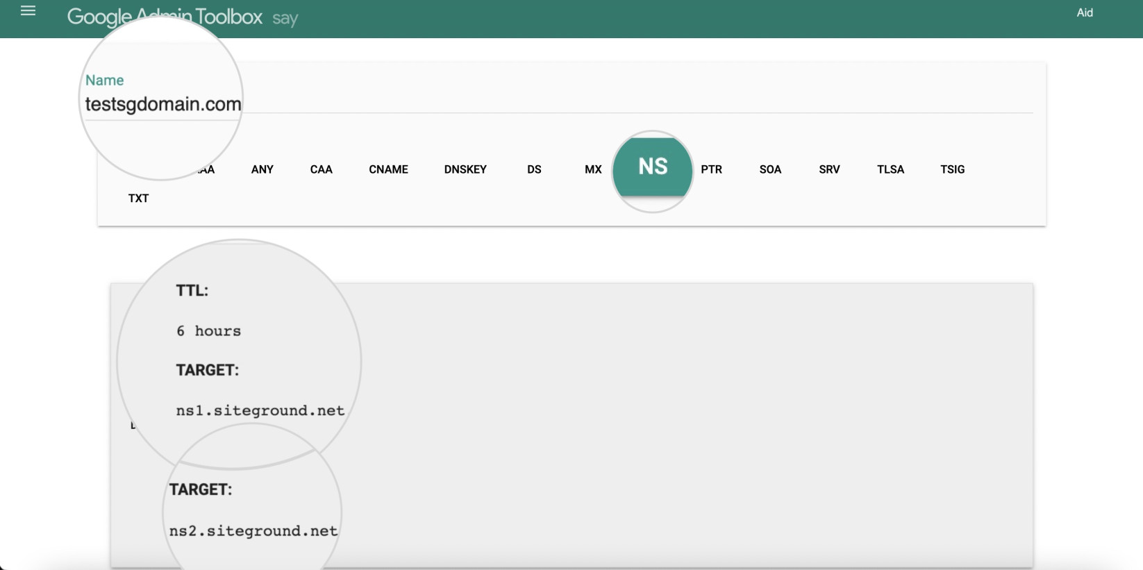 Capture d'écran de Google Admin Toolbox illustrant comment saisir un domaine et sélectionner le type d'enregistrement à résoudre