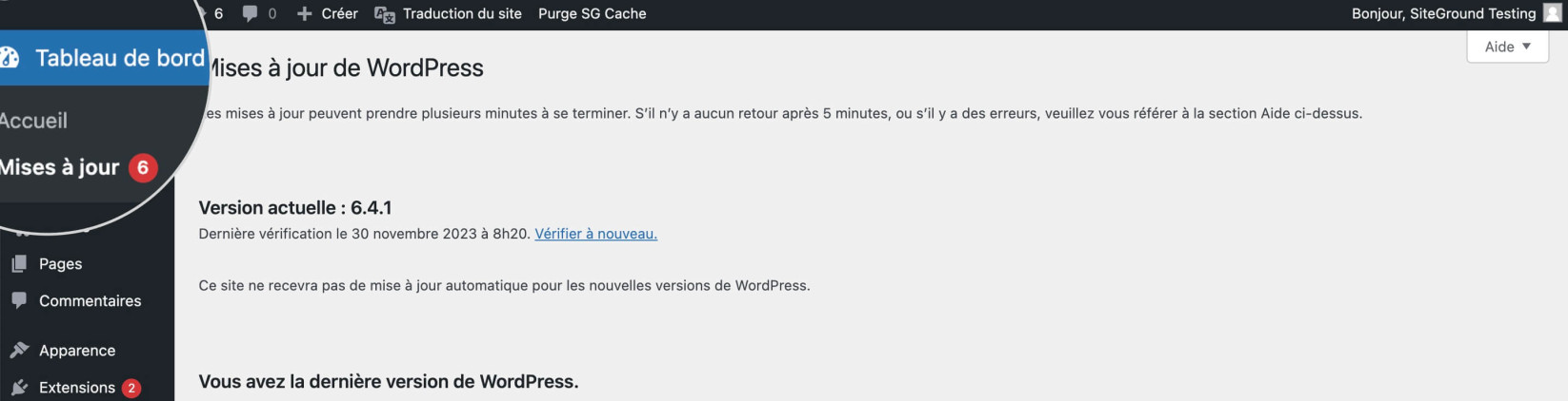 Capture d'écran montrant comment vérifier WordPress pour les mises à jour disponibles