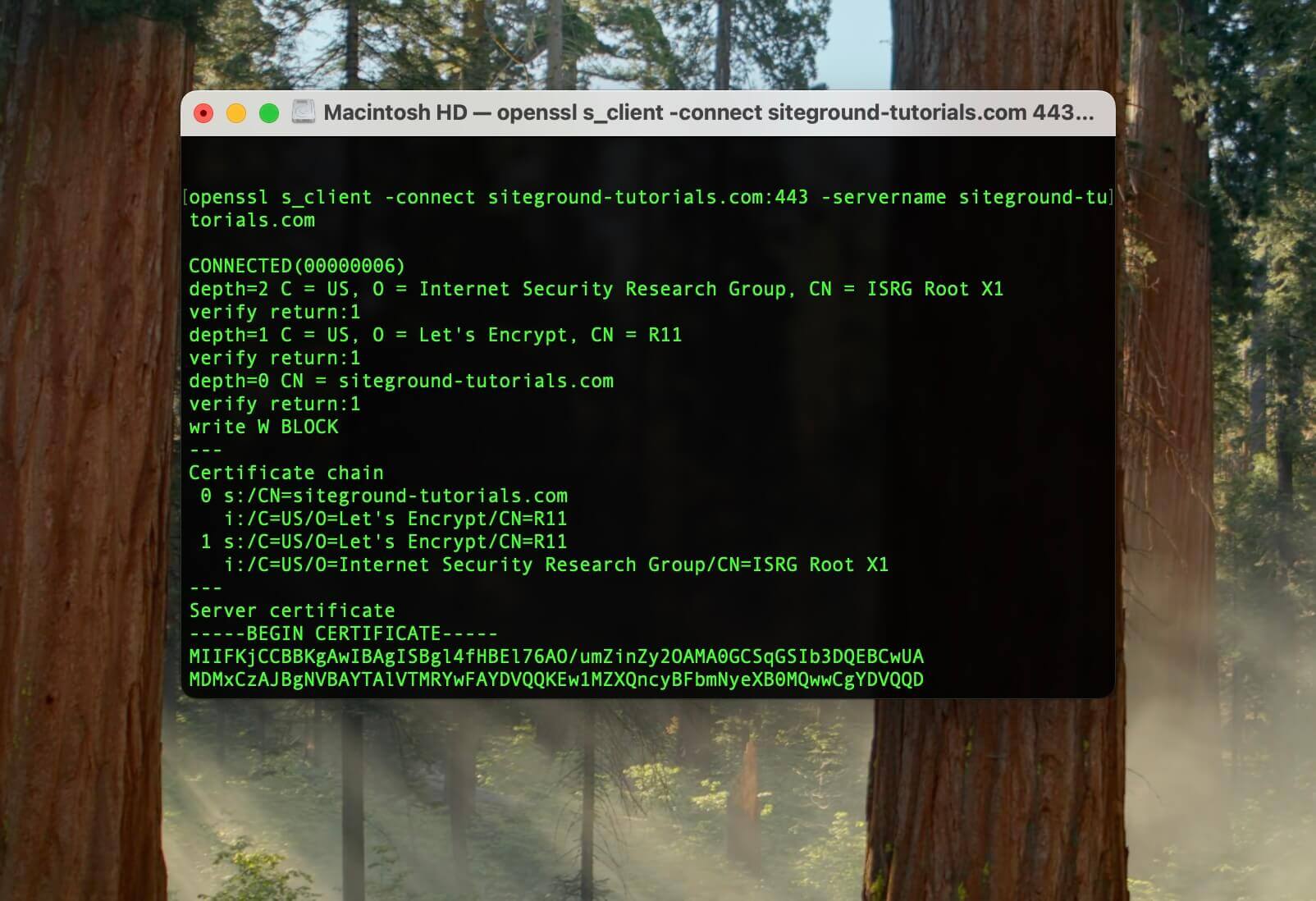 Utilisation de Terminal pour vérifier si un serveur est compatible SNI