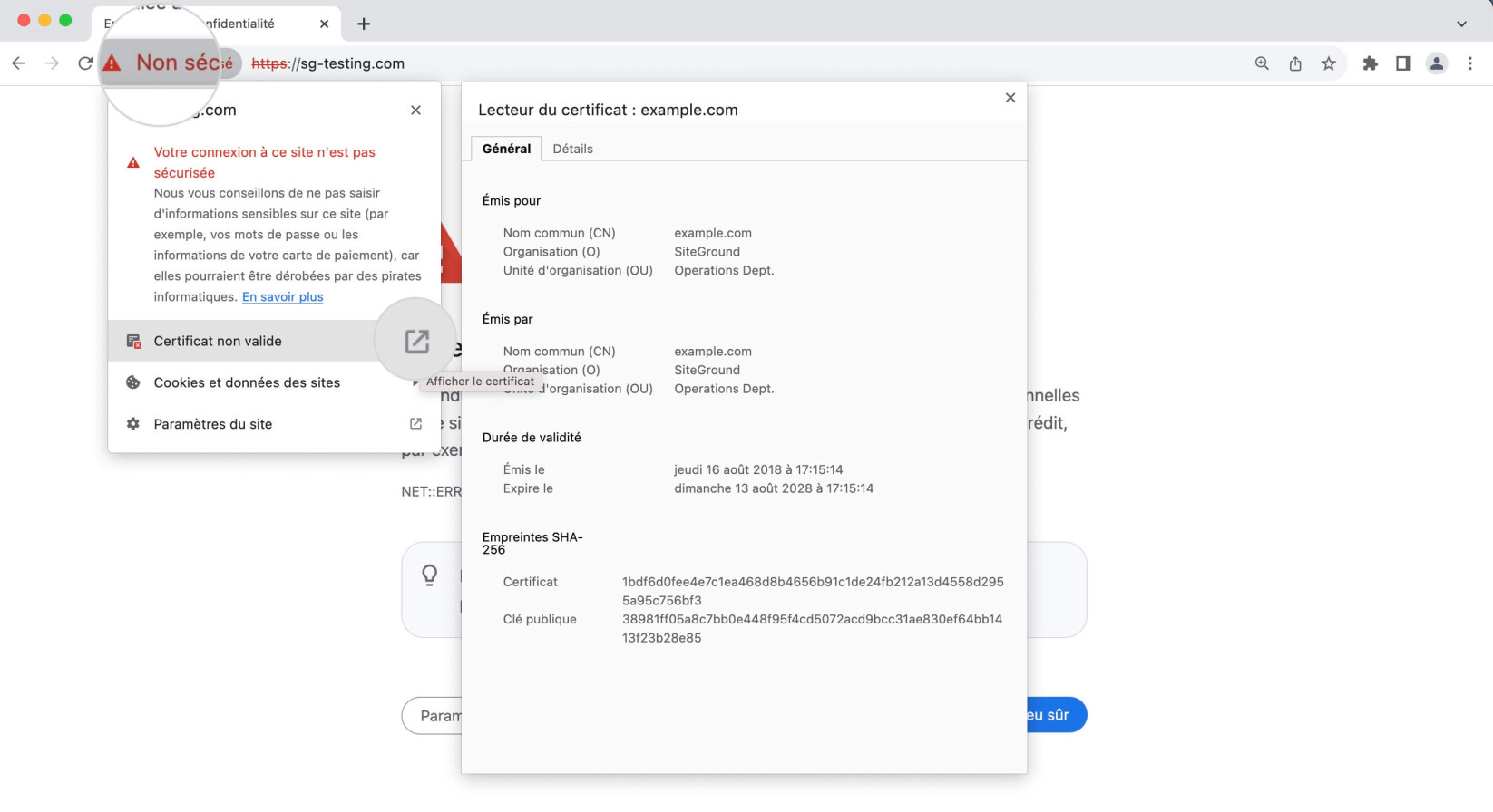 Comment afficher les détails du certificat dans un navigateur