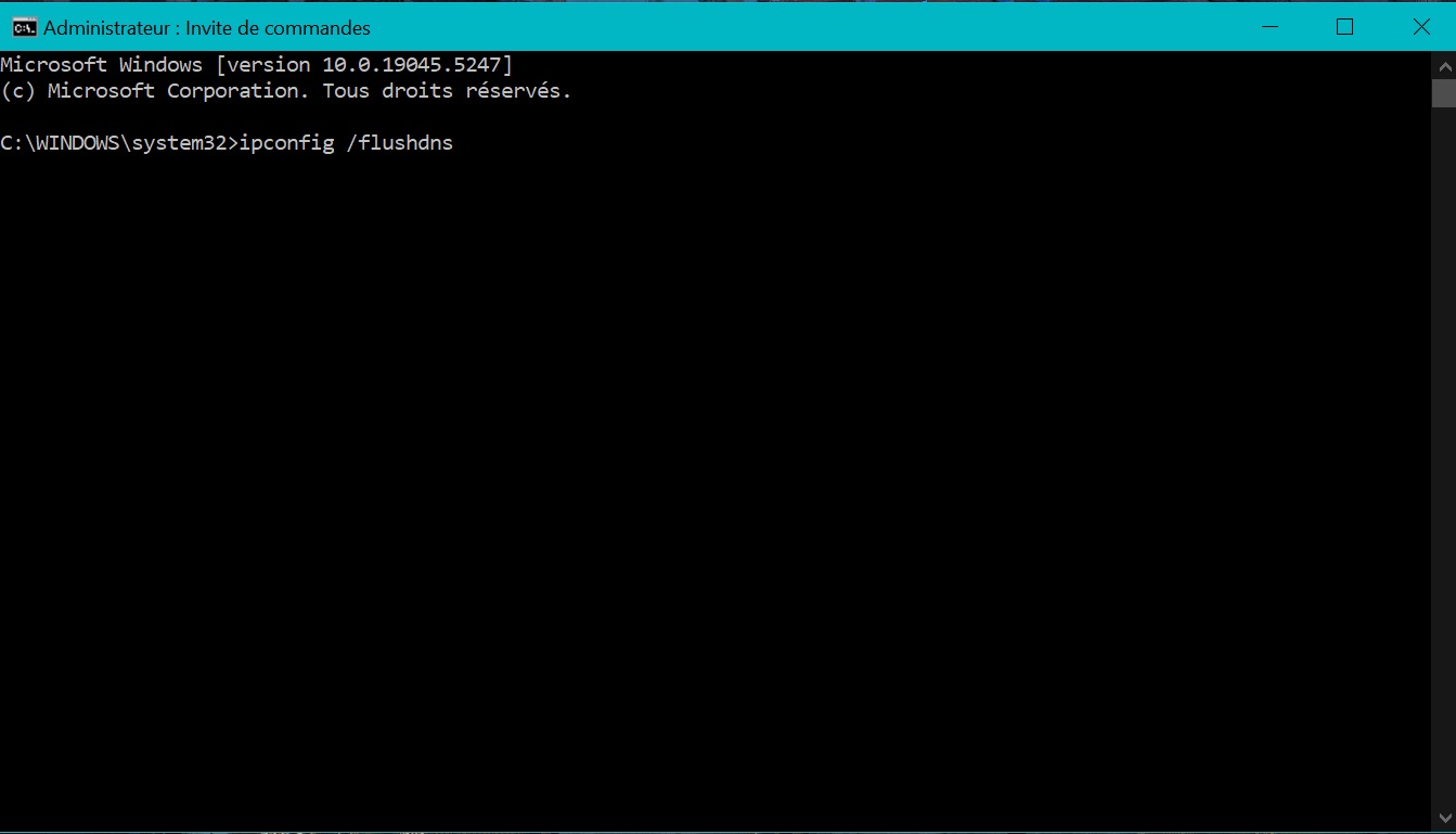 Capture d'écran de la commande flushdns dans Windows CMD pour vider le cache DNS local