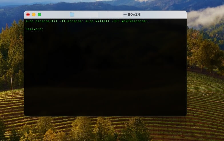 Vider le cache DNS sur Mac via Terminal 
