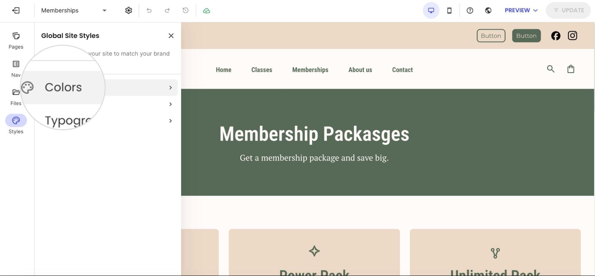 The Global Site Styles menu in the website editor with the Colors section highlighted for brand customization.