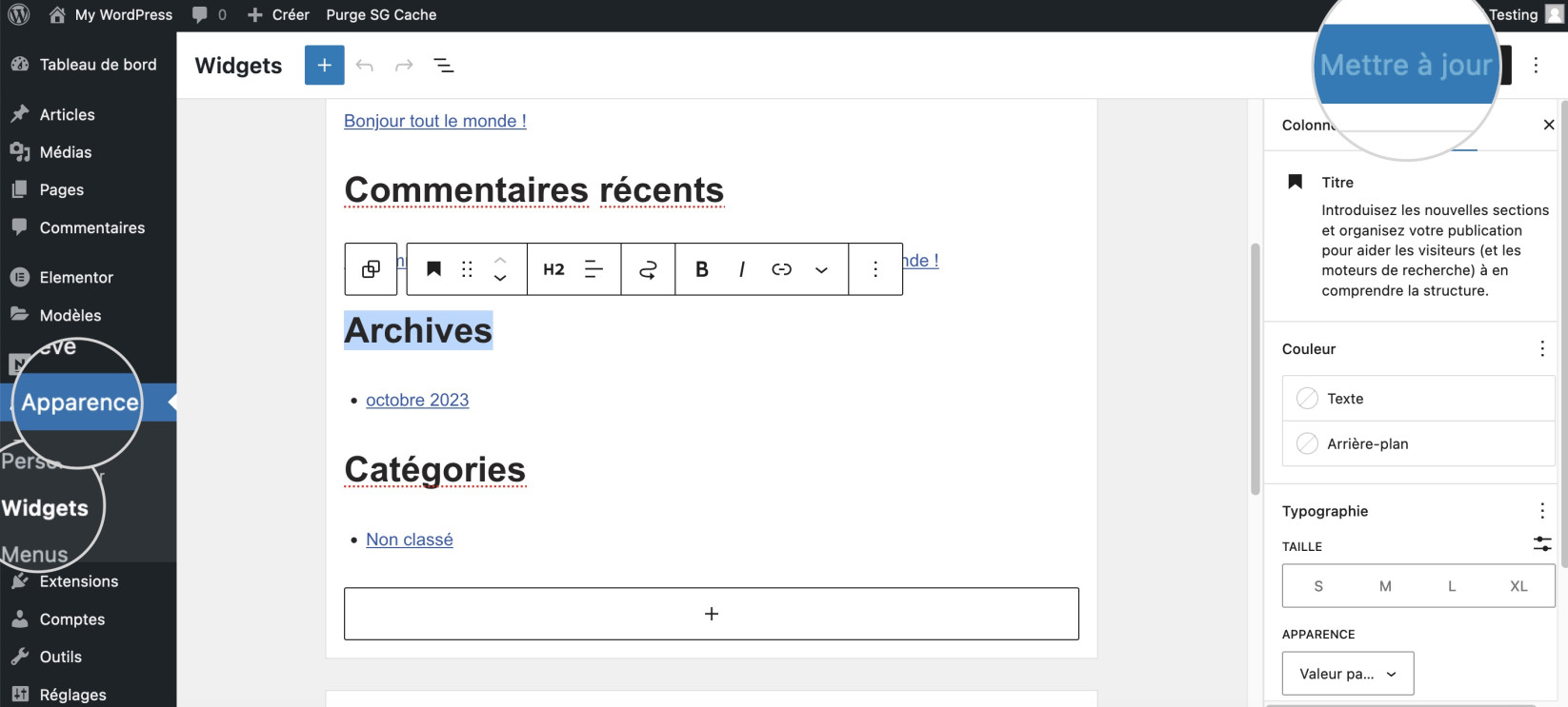 Capture d’écran montrant comment masquer le titre d’un élément graphique dans WordPress