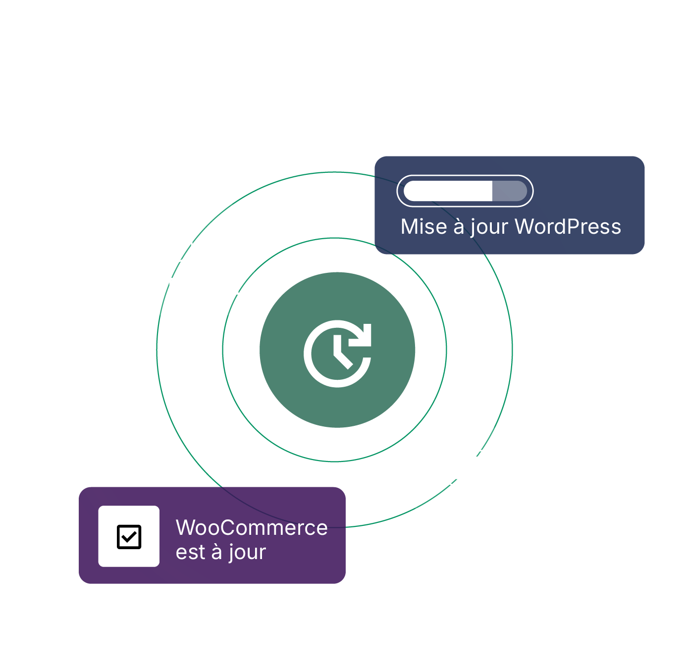 Les mises à jour automatiques protègent votre site contre les dernières menaces.